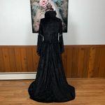 None Funky Victorian Gothic Velvet Costume! Photo 8