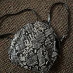 ALDO Snakeskin Backpack Photo 0