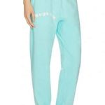 Boys Lie NWT  Sweatpants - Aqua Blue w/ Pale Pink Text Photo 3
