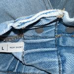 PacSun Shorts Photo 4