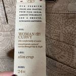 Talbots NEW  plus size paisley print curvy slim crop tan brown pants size 24W Photo 6