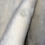 Pamela McCoy Cream Teddy Jacket White Photo 4