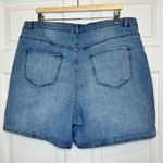 Eloquii  Elements Plus Size Denim Shorts Cross Front Detail 16‎ Photo 1