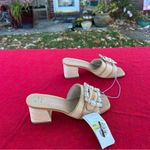 A New Day Nwt Size 6.5 Women's Kathleen Raffia Buckle Block Heels - rhinestone Photo 3