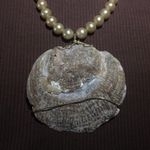 Women's Vintage Oyster Shell ? Faux Pearl Costume Necklace Photo 6