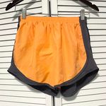 Nike Dri Fit athletic Shorts built in briefs Photo 0