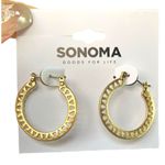 Sonoma  Gold Hoop Earrings Photo 0