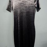 ZARA  Velvet Dress (brownish silver) Photo 0