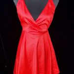 ZARA Red Polka Dot Skater Dress Open Back Photo 0