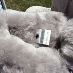 UGG Stargirl Bow Mini Boots Photo 4