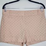 Blush Pink Eyelet Lace Shorts Size 4 LOFT Preppy Pink Lace Shorts Photo 2