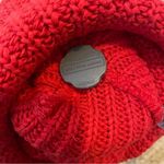 Love Your Melon  Adult Miami hawks Pom Beanie in Red Photo 3