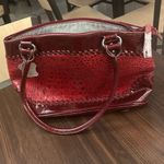 Purse Elegant Red Crocodile Pattern Shoulder Bag by MC Photo 10