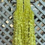 Anthropologie  Maeve Sleeveless Floral Appliqué Mini Dress Photo 10