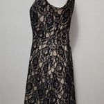 Enfocus Studio  Black Lace Fit and Flare Dress Size 4 Photo 3