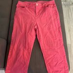 Gloria Vanderbilt Pink Capri Light Jeans Size 8P Photo 0