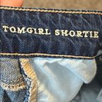 American Eagle Tomgirl Shortie Shorts Size 0 Photo 5
