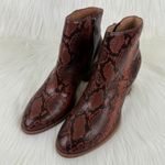 Madewell  The Rosie Snake Embossed Leather Ankle Boot Size 8.5 Photo 3