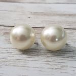 Vintage Screw On Earrings Photo 0