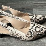 Franco Sarto Vickie Slingback Vanilla Snake Print Block Heel Sandal 9.5 🔥 Photo 0