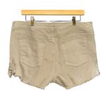 Mossimo Womens High Rise Button Fly Shorts Sz 16/33 Lace Hippie Feminine Granola Green Photo 3