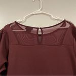 City Chic  Cute Mesh Panel Fit & Flare Dress in Ox Blood Size 14 Photo 5