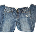 Liz Claiborne Petite Distressed Boyfriend Size 8P Photo 0