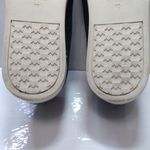 Birdies the swift blue and silver women's sneakers Photo 11