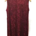 Thyme + Honey Red Velvet Sleeveless Dress 2XL Photo 0
