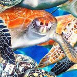 ArtSea Florida Keys Leggings XL Elastic Stretch High Waist Pants Beach Islands Blue Photo 2