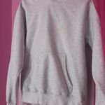 Aritzia  Hoodie Photo 0