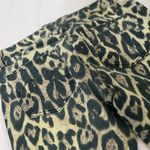 Tripp NYC  Leopard Print Low Rise Skinny Jeans Photo 3