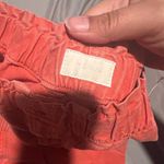 MOTHER The Springy High Photo 9