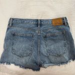 Aritzia  Jean Denim Forum Shorts Photo 2