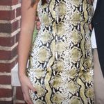 H:ours REVOLVE Snakeskin Leather Strapless Dress Photo 0