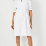 Ann Taylor White Daisy Dress READ SIZING DESCRIPTION  Photo 0