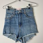 Revice Denim Shorts Photo 0