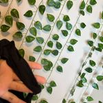 SKIMS Black High-Waisted Bikini Bottom Photo 3