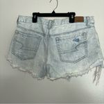 American Eagle  Tom girl shorts Photo 1