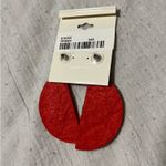 Boutique Watermelon Earrings  Photo 1