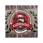 University Of Arkansas Gray Tshirt Size Large Photo 1