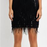 Wildfox  Skirt  Photo 1