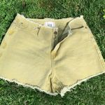 BDG  Urban Outfitters Green shorts Photo 0