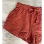Young Fabulous and Broke  Drawstring Clay Linen Shorts Photo 1