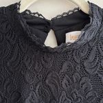 Laundry by Shelli Segal  Black Lace Ruffle Balloon Sleeve Blouse, Size Large Photo 11