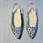 Naked Feet Leva Leopard Print Leather Upper Slingback Flats Women’s Size 9M🧡 Brown Photo 10