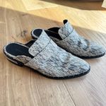 Freda Salvador Womens Keen Almond ToeSnakeskin Mules, Size 8, EUC White Photo 7