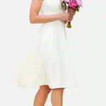 Dress the Population New with tags Catalina Knee Length V-Neck Sleeveless Dress Photo 1