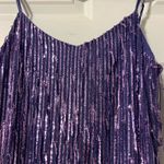 Francesca's Purple Sequin Fringe Francesca’s Dress Photo 2