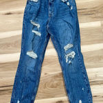 Abercrombie & Fitch  Curve Love High Rise Mom Jeans Women’s 27/4 Photo 0